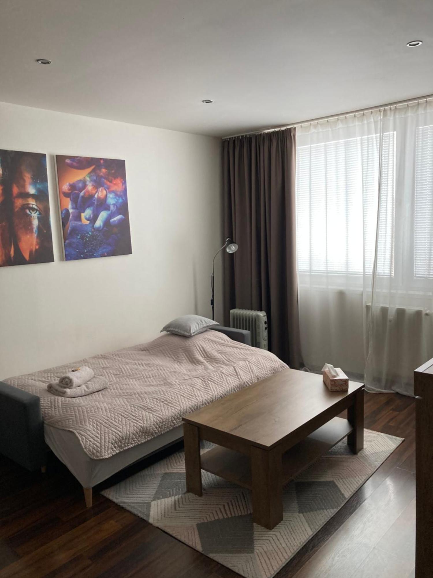 Apartman Zemplin Михайлівці Екстер'єр фото